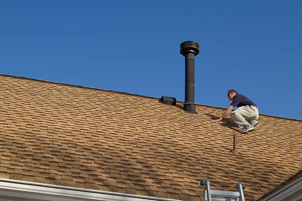 Best Roof Moss and Algae Removal  in Palmetto, FL